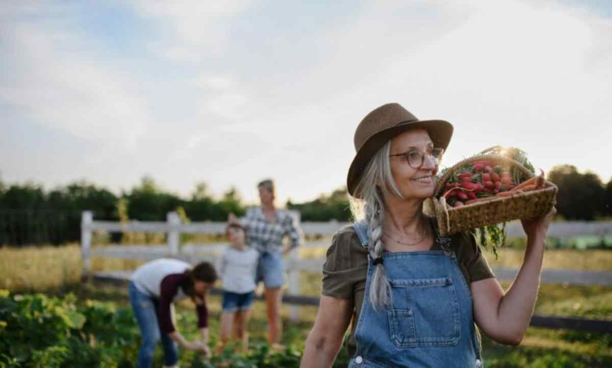 Tempo Rural para aposentadoria: um grande aliado para se aposentar mais cedo