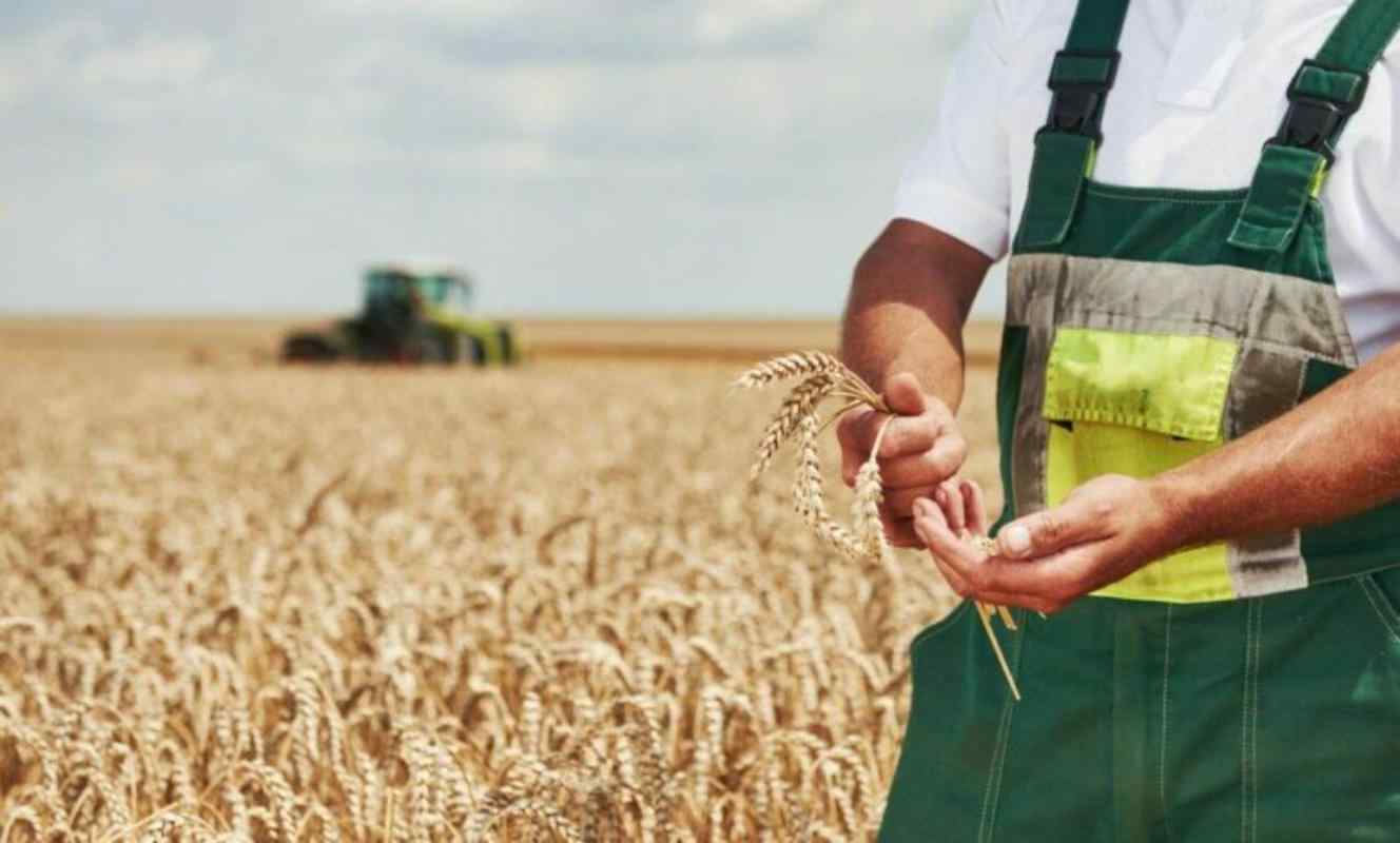 Contribuição do produtor rural pessoa física ao INSS