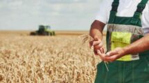 contribuição do produtor rural